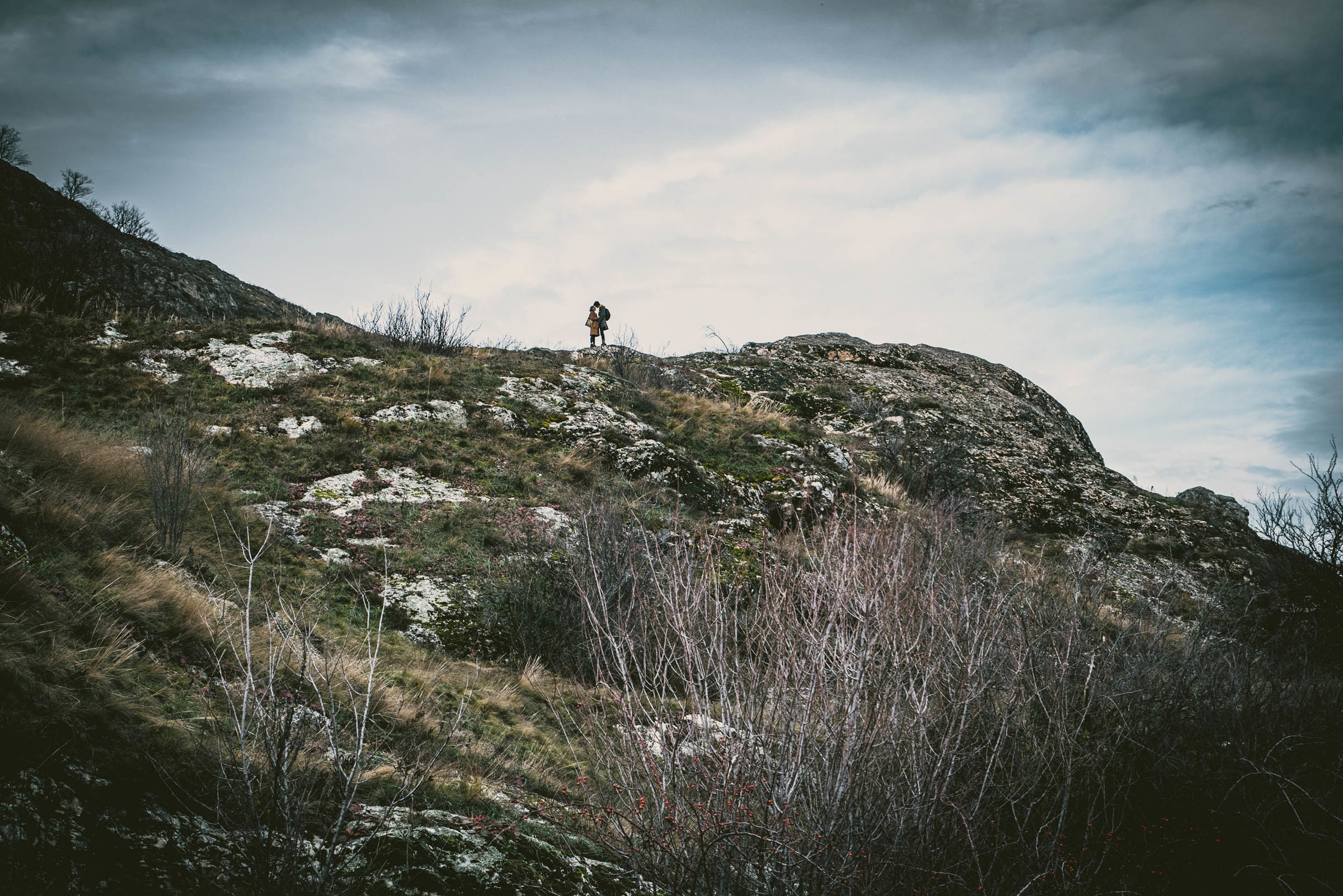 L'unique simplicité